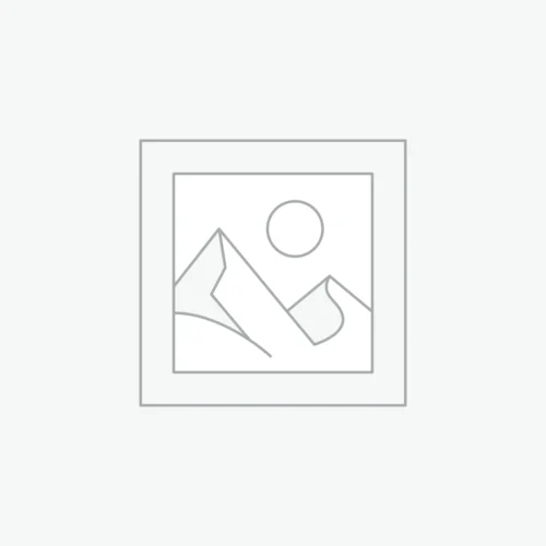 Custom Vinyl Decals for Vehicle Branding