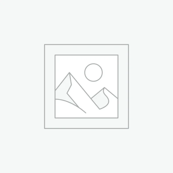 Custom Vinyl Decals for Vehicle Branding